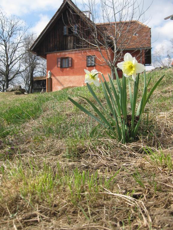 Sonnenberg Ratsch an der Weinstrasse
