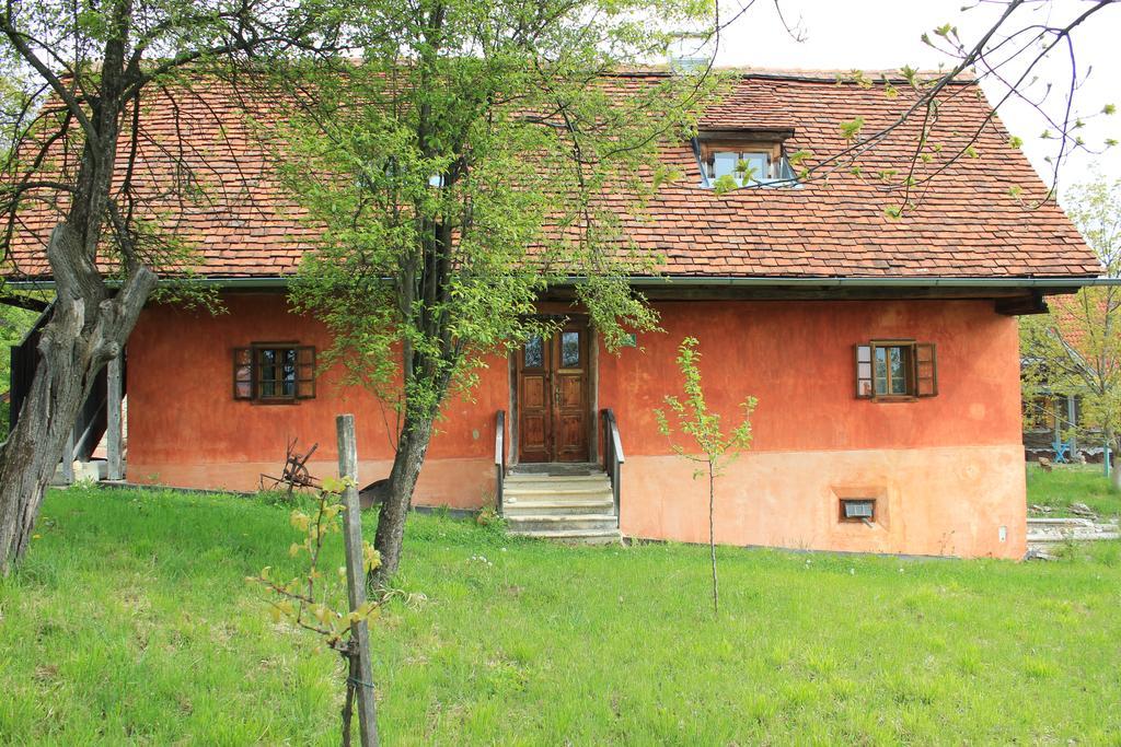 Sonnenberg *
